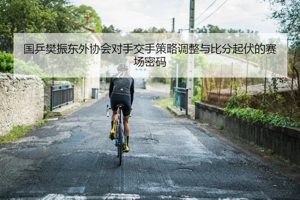 国乒樊振东外协会对手交手策略调整与比分起伏的赛场密码