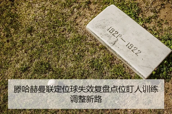 teng-ha-he-man-lian-ding-wei-qiu-shi-xiao-fu-pan-dian-wei-ding-ren-xun-lian-tiao-zheng-xin-lu-2-979.jpg
